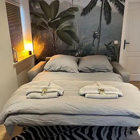 Moderne 50 Qm Monkey