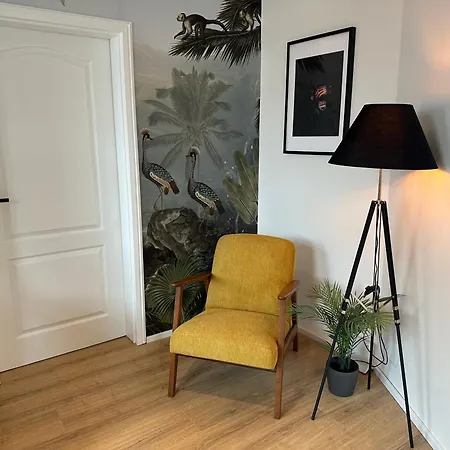 Moderne 50 Qm Monkey Lägenhet